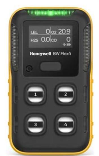 RILEVATORE BIGAS FLEX H2S SO2 C/DISPLAY GRAFICO