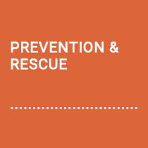 preventionrescue_libo-safety